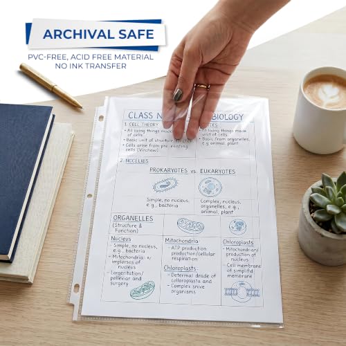 Samsill 100 Pack Heavy Duty Sheet Protectors, Non-Glare, 8.5x11 Inch Page Protectors for 3 Ring Binder, Letter Size Protectors, Reinforced Holes, Non-Glare Protector, Top Loading, Acid Free - size: 100 Pack, style: Non-Glare