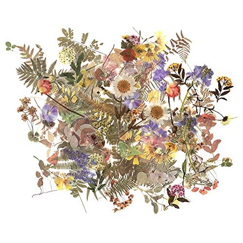 Flower Plant Stickers Set (120PCS) - PET Transparent Decorative Sticker for Scrapbooking Planner Journaling Wrapping DIY Crafts Cards Album Water Bottles Phone Cases Laptops - color: Summer Flower Plant Sticker Pack