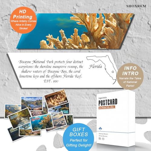 SHOXREM Retro National Parks Postcard Set: Vintage Travel Collage Collection Wall Decoration - Photorealistic Painting Print Illustrations of 63 National Parks, 6" W x 4" H