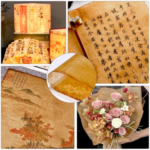 Diuhofart 100 Sheets Gampi Rice Paper, 13.8x16.5”, Handmade Antique Translucent Art Paper, Thin Yet Strong Fiber for Chinese Calligraphy, Painting, Decoupage, Collage and Junk Journaling - color: 100 Ancient Cicada Wing Paper, size: 13.8 x 16.5 Inches