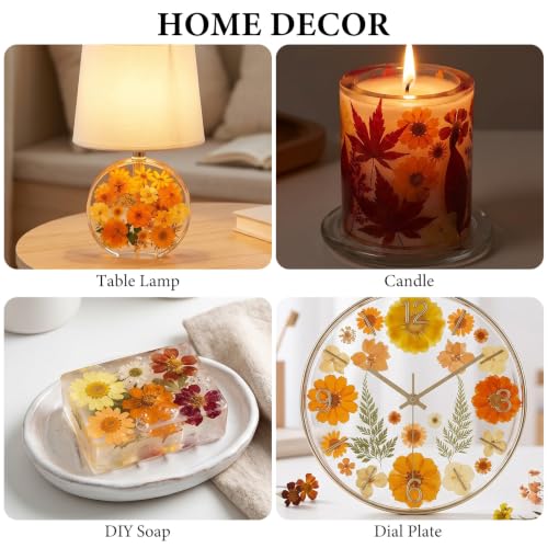 350 Pcs Fall Dried Flowers for Crafts,Real Nature Dried Flowers for Resin