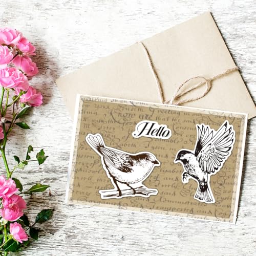 INFUNLY Bird Stamps & Dies - Butterfly, Insect & Leaves Die Cuts, Heart Silicone Stamps for DIY Scrapbooking & Embossing - color: Birds and Butterfly