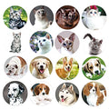 Dog and Cat Stickers for Kids Teachers Party Favors Gift Wrap