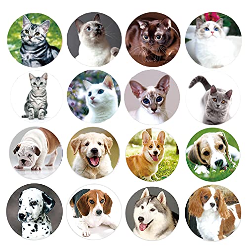 Dog and Cat Stickers for Kids Teachers Party Favors Gift Wrap