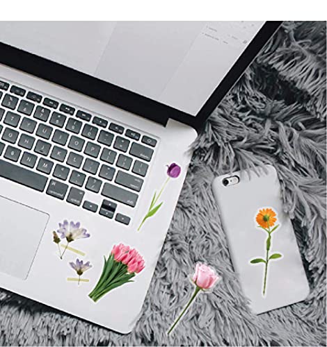 40Pcs Flower Stickers for Water Bottle - Self-Adhesive Transparent Waterproof Vinyl Sticker Decal for Adults Card Decoration DIY Scrapbook Laptop Phone Case Dried Nature Floral Plant Violet Stickers - color: Transparent Clear Colorful Ins Style Diy Dried
