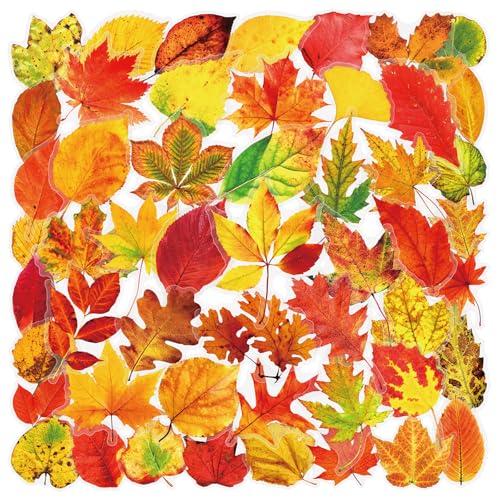 50pcs Transparent maple leaves Sticker for Scrapbooking Water Bottles Laptop Journaling,Cartoon fallen leaves Decal for Teens Planners,Cards, Gifts,Crafts,Art Projects,Glass Potion Bottles(maple leaf) - color: Maple Leaf