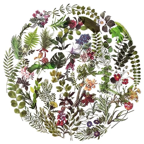 MAXLEAF Transparent Nature Flower Stickers, 120PCS Waterproof Vintage Plants Flowers Leaves Fern Clear Stickers for Journaling Planners Scrapbook Laptops Diary Decoration (Leaves and Flowers) - color: Leaves and Flowers