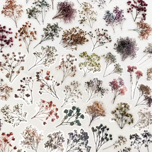 50PCS Vintage Dried Flower Stickers, Clear Botanical Pressed Floral Stickers Pack, Aesthetic Plant Decals for Scrapbooking Journaling Laptop Water Bottle Decor - color: Dried Flower