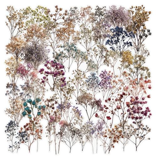 50Pcs Vintage Dried Flower Transparent PET Waterproof Dried Flower Decals - style: dride flower