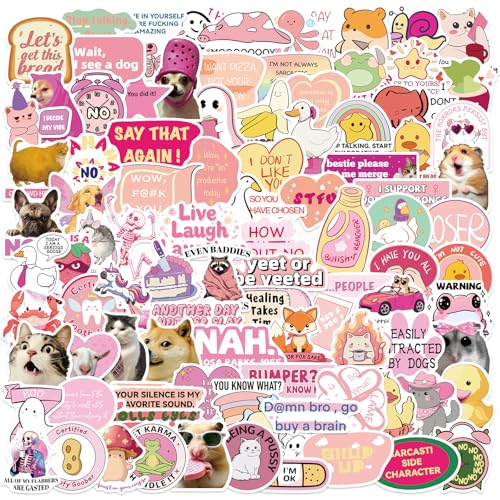 150PCS Meme Stickers Pack, Pink Funny Decals for Adult Women, Waterproof Humorous Stickers Suitable for Kindle Water Bottles Phones Laptops Scrapbooking (Pink Meme) - style: Pink Meme