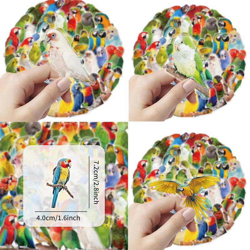 50Pcs Colorful Parrot Vinyl Stickers Pack - style: Parrot