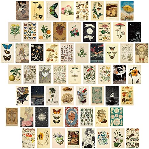 60PCS Vintage Botanical Postcards for Junk Journal, Scrapbook, DIY Crafts