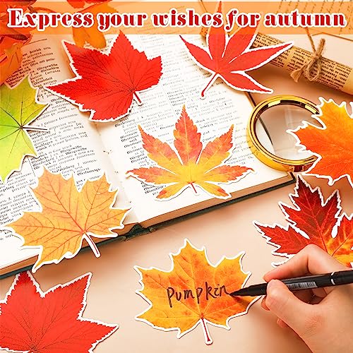 Ferraycle 198 Pcs Fall Bulletin Board Decorations Fall Window Clings