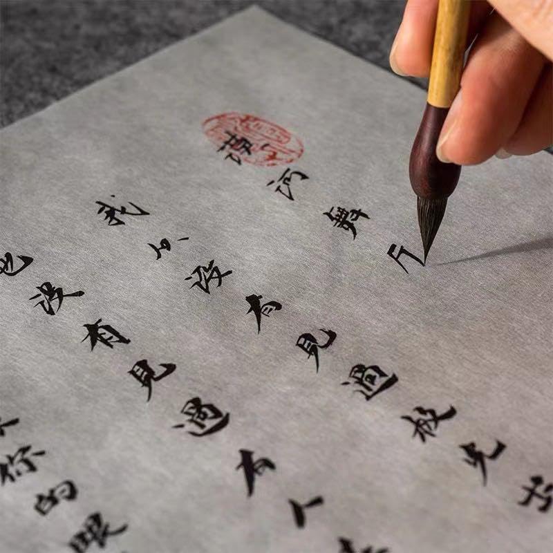 100 Sheets Luminous White Gampi Rice Paper, 13.8x16.5”, Handmade Translucent Cicada Wing Art Paper, Strong & Smooth Thin Fiber for Botanical Tracing, Calligraphy, Decoupage and Wedding Crafts - color: 100 White Cicada Wing Paper, size: 13.8 x 16.5 Inches