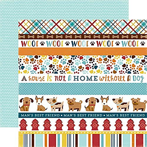 Bark Collection Kit