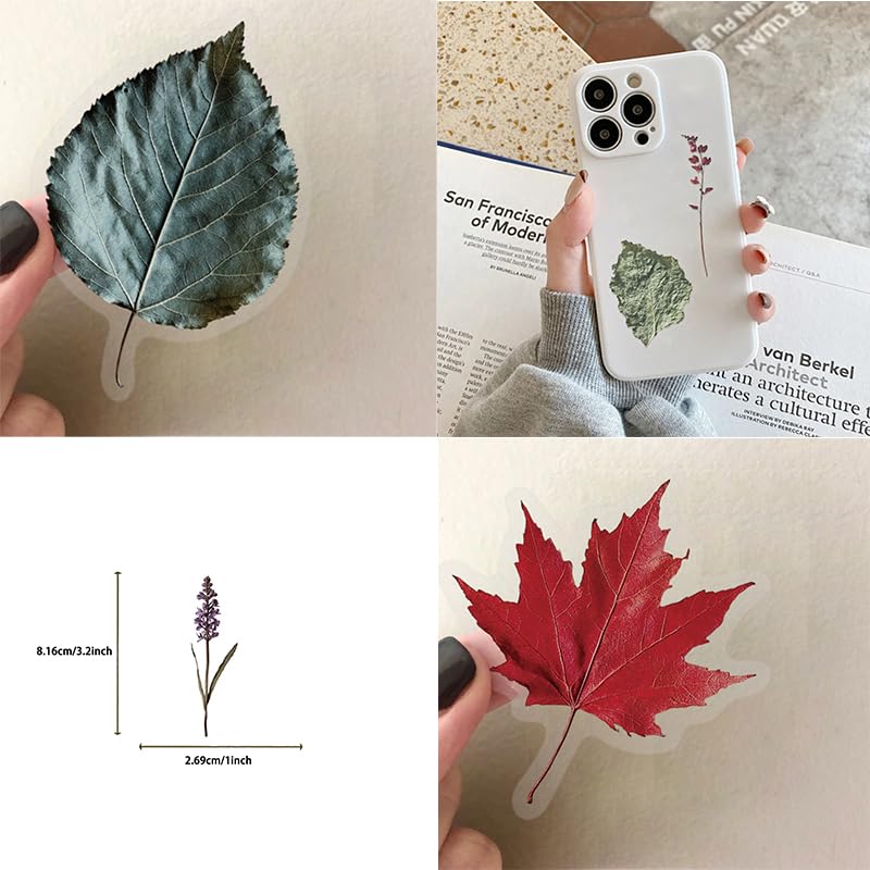 50 Pcs Botanical Stickers Waterproof for Scrapbooking | Transparent PET decals with nature botanical specimen designs. Perfect for journals, laptops, phone cases, water bottles - style: Plant Stickers
