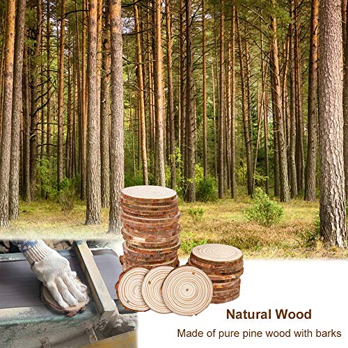2.4-2.8IN Natural Wood Slices with Jute Twine for DIY Ornaments (50)