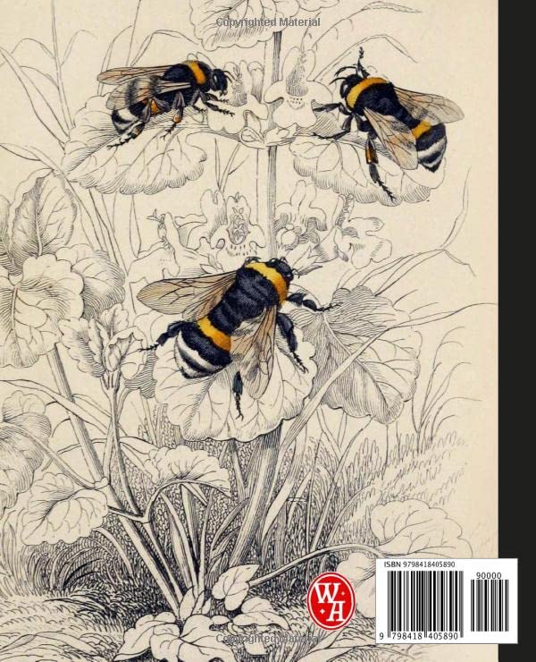 Composition Notebook College Ruled: Vintage Botanical Bee Illustration Journal | Wide Lined | Cute Aesthetic For School, College, Office, Work