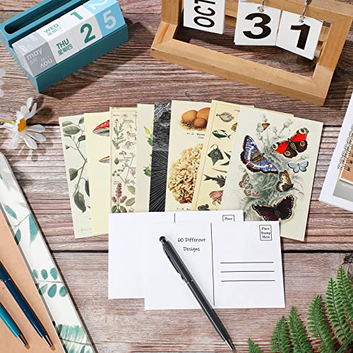60PCS Vintage Botanical Postcards for Junk Journal, Scrapbook, DIY Crafts