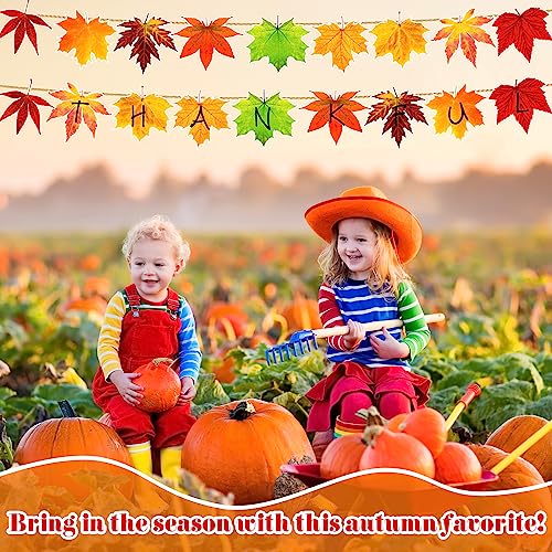 Ferraycle 198 Pcs Fall Bulletin Board Decorations Fall Window Clings