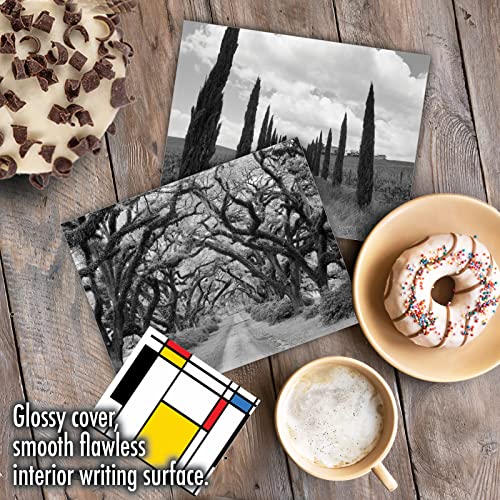The Best Card Company - Box of 10 All Occasion Cards Blank (4 x 5.12 Inch) - Scenic Landscape Cards Assorted - Tree Lines M3313-NB - style: Tree Lines