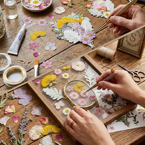 Dried Pressed Flowers Real Natural - size: 75 pcs Dried Flowers